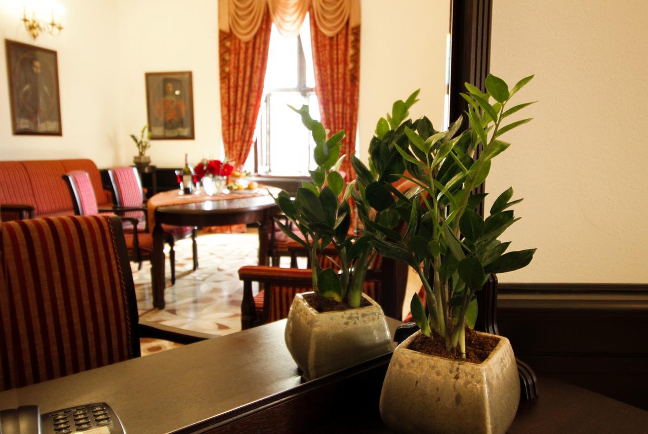 ניאסוויז' Palace Hotel מראה חיצוני תמונה